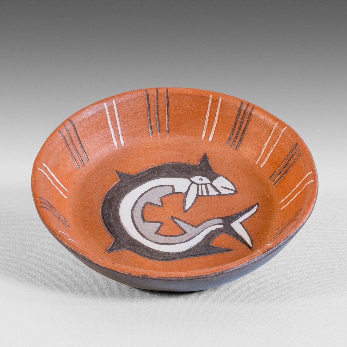 Nazca shark plate