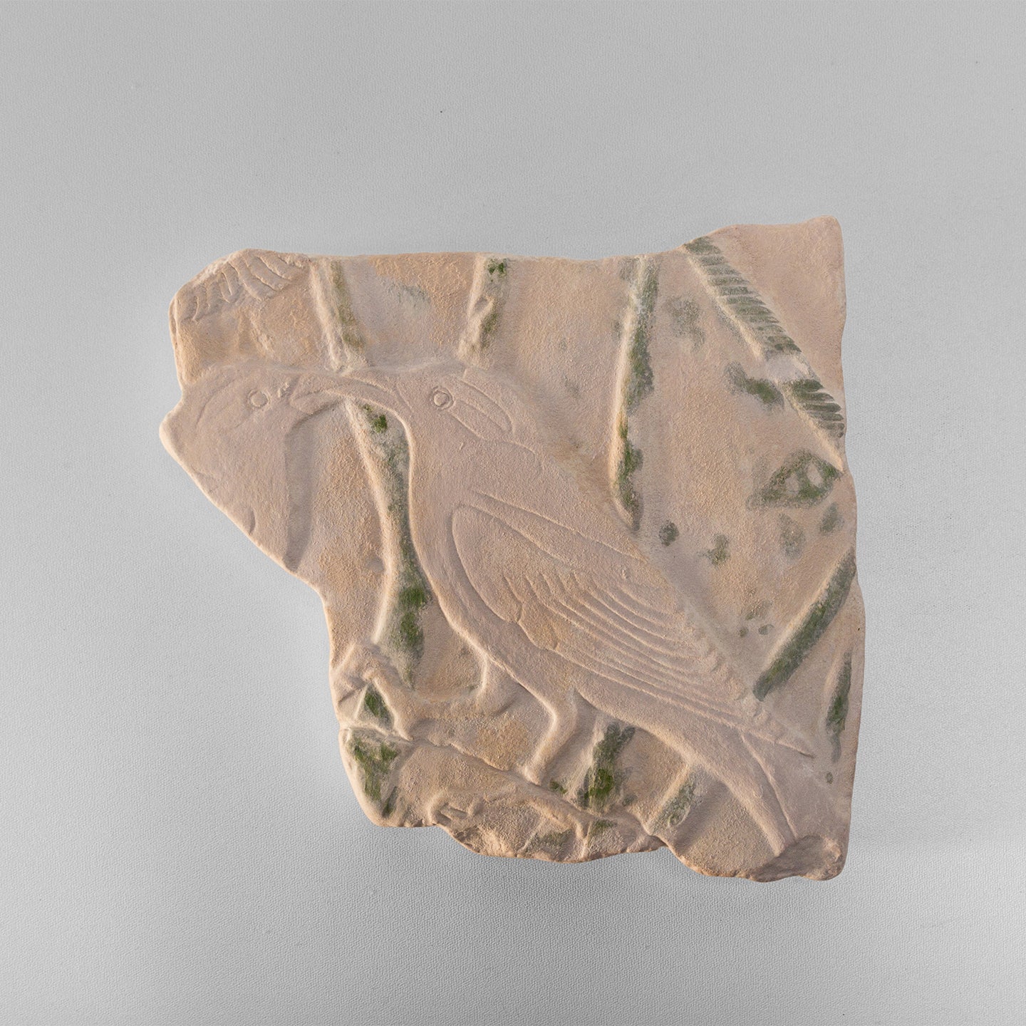 Low relief birds