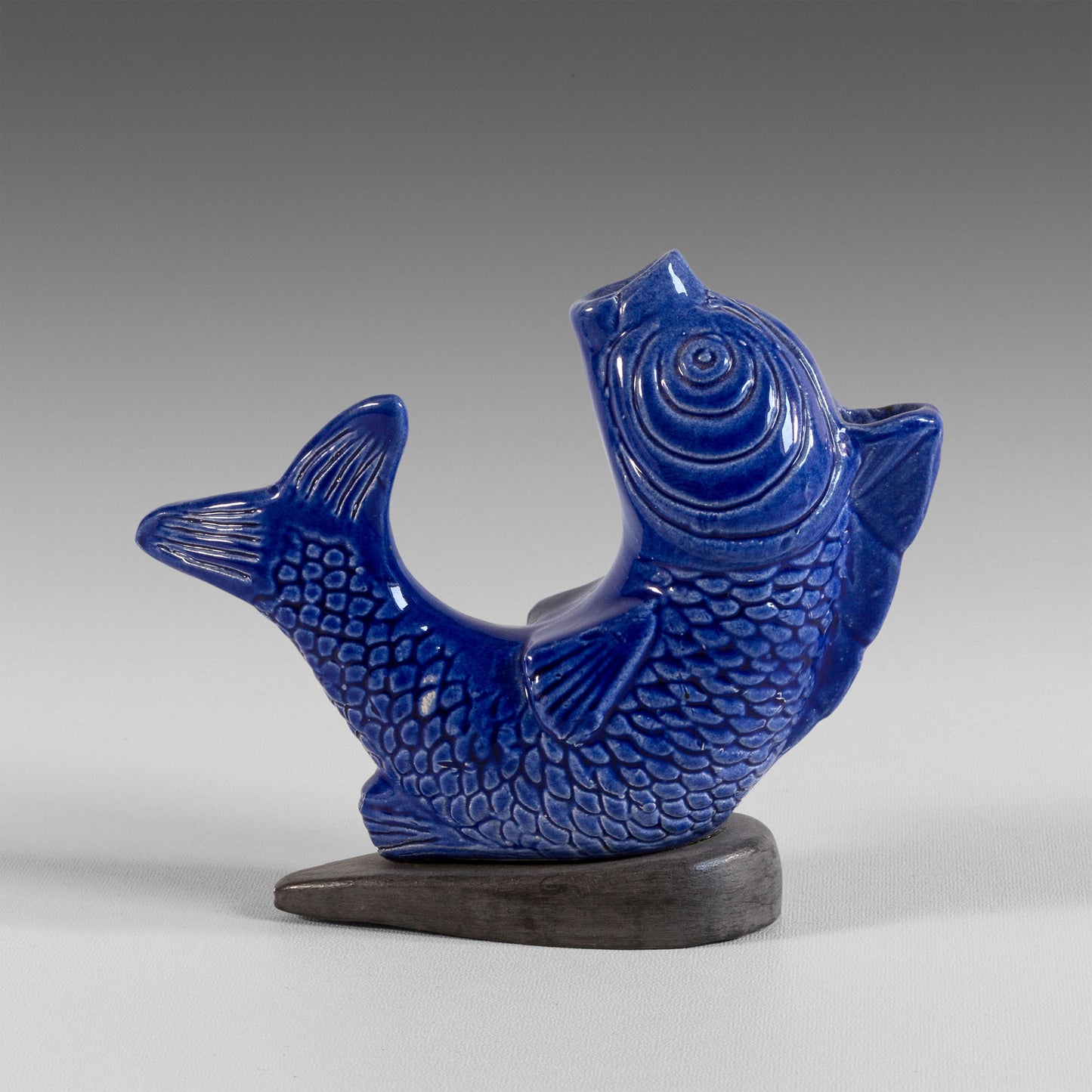 Blue inkwell fish